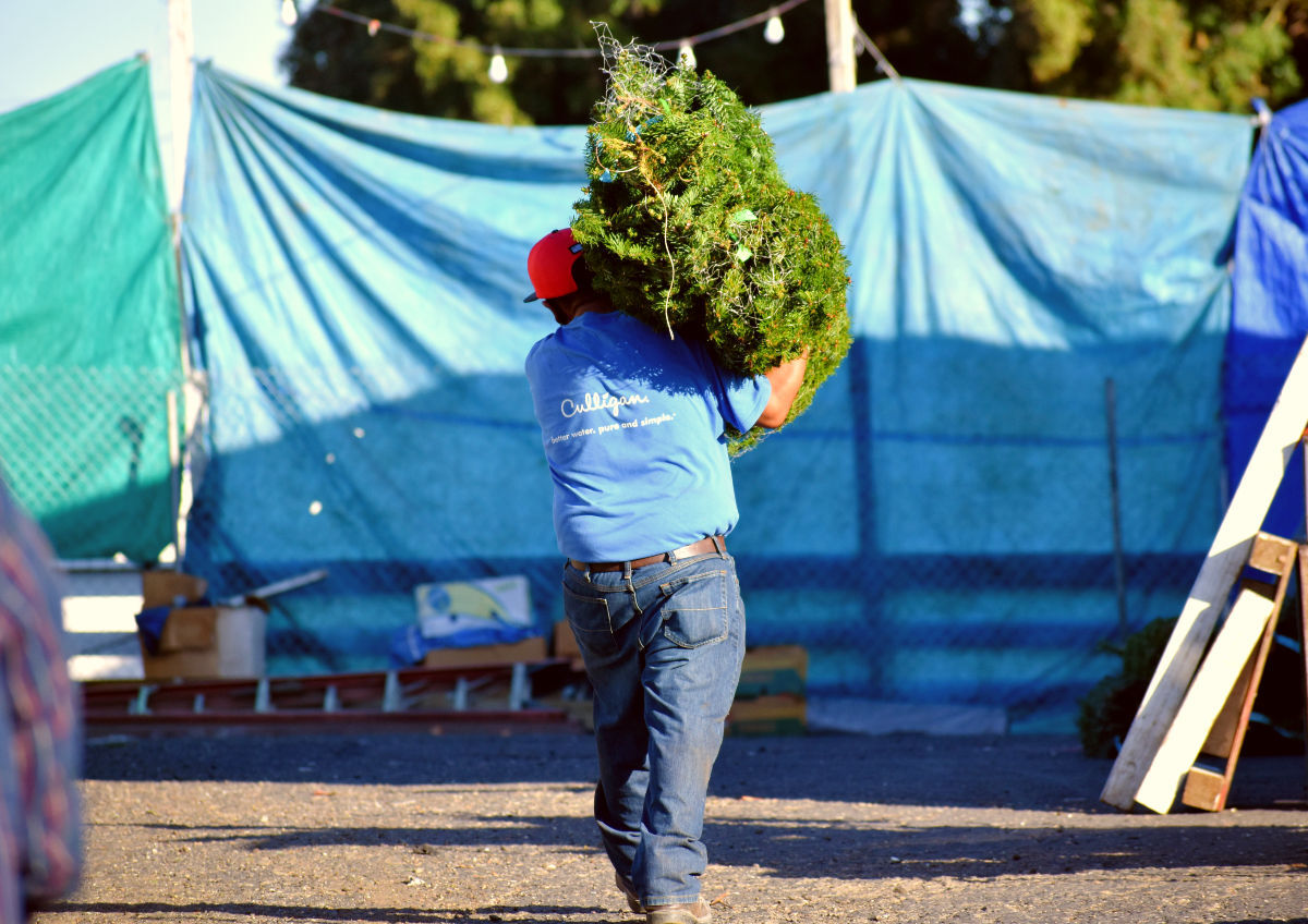 112320-smt-news-xmas-tree-corner-006